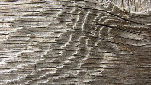 old wood board fibers