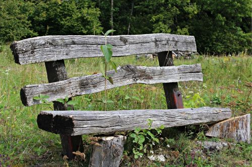 old wood bench bank weathered
