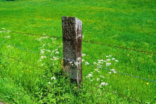 old wood columns rusted wire fence green pastures