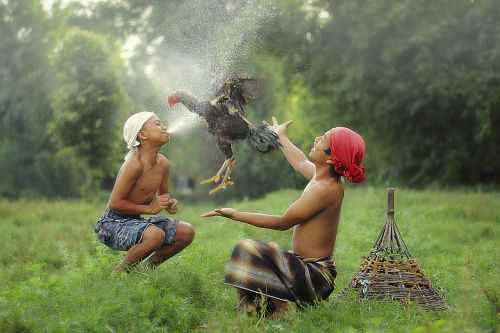 older child child indonesian