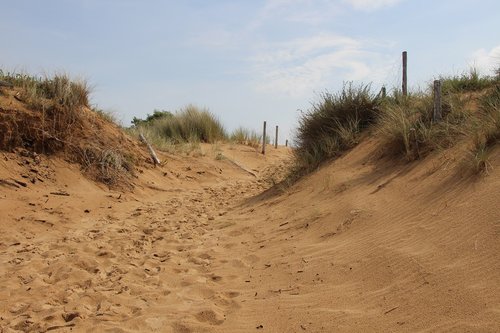 oléron  beach  dune
