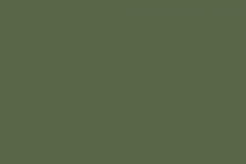 Olive Green Background