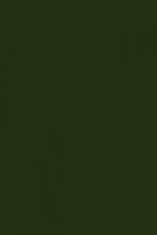 Olive Green Background