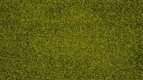 Olive Green Simple Background