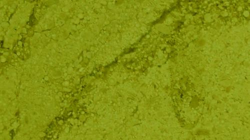 Olive Marble Texture Background