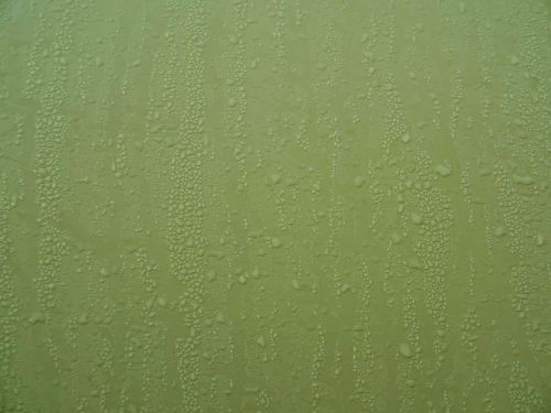 Olive Metal Condensation Background