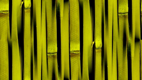 Olive Seamless Bamboo Background
