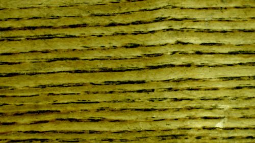 Olive Wood Grain Background