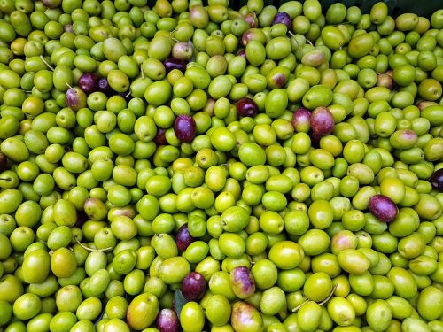 olives fruit mediterranean