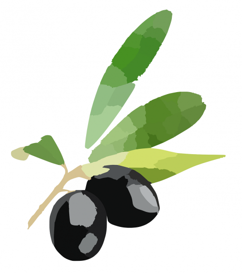 olives plum berries