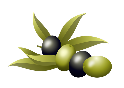 olives  oil  fruits