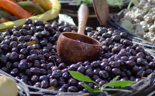 olives  olivier  oil