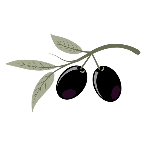olives  fruits  plant