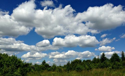 olkusz poland meadow