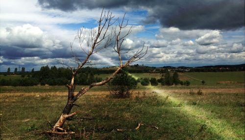 olkusz poland landscape