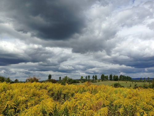 olkusz poland landscape