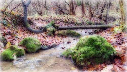 olkusz poland landscape