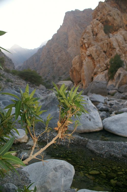 oman wadi mountains