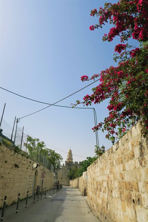 on  city  jerusalem