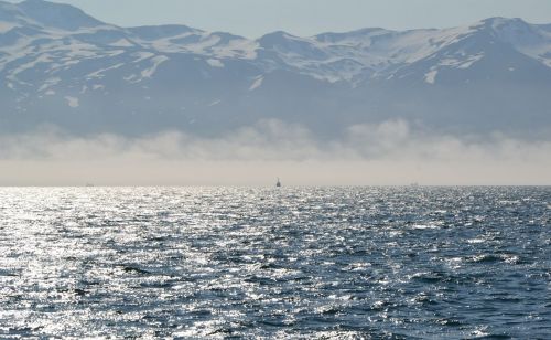 On The Greenland Sea