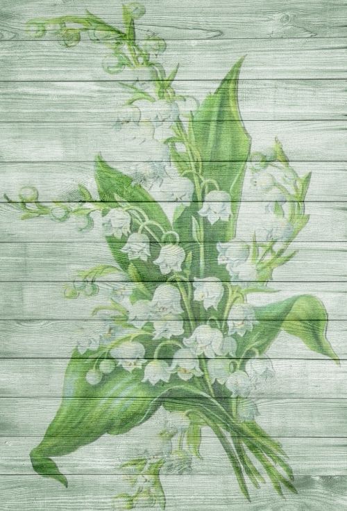 on wood may lily of the valley