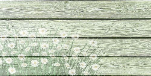 on wood daisies wooden wall