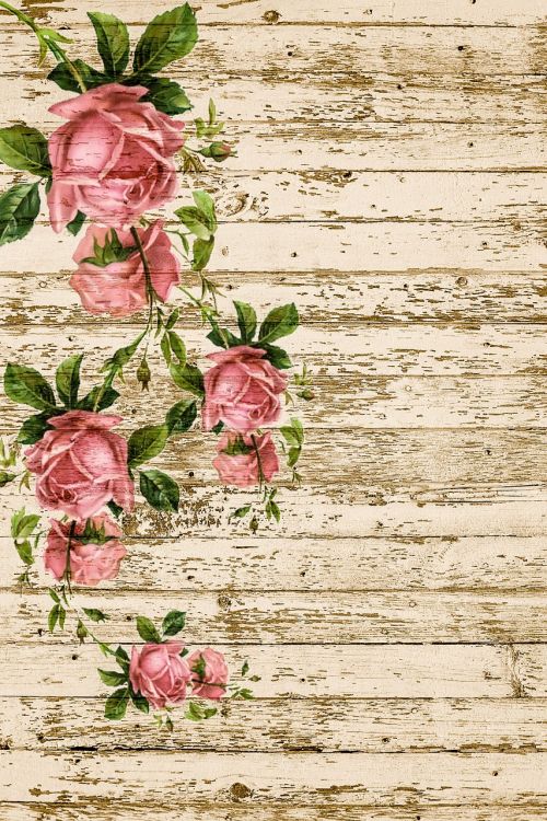 on wood roses pink