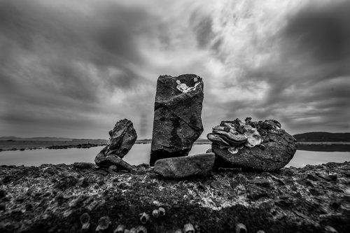 one day of  beach  landscape