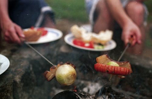 onion barbecue food