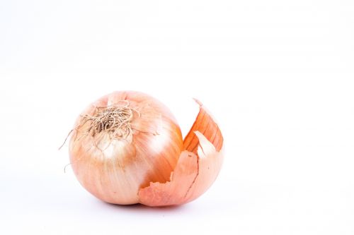 Onion