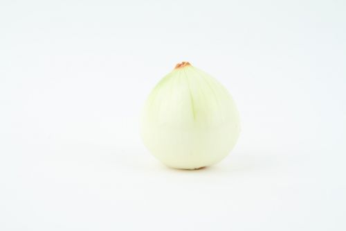 onion vegetables vegetable