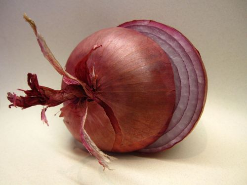 onion red onion fresh