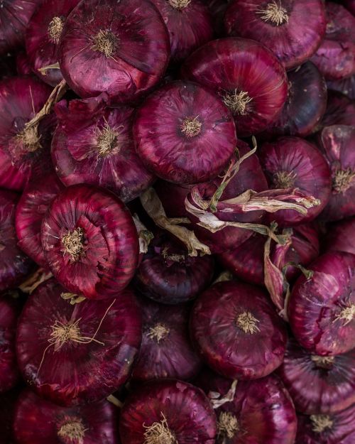 onion red onion crimean onion