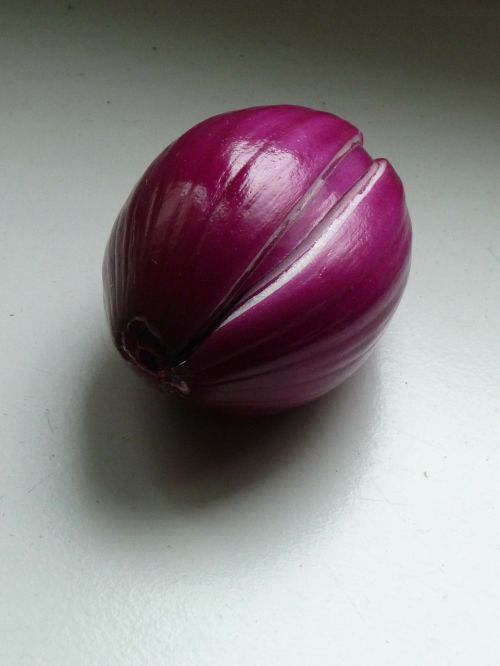 onion vegetable organic