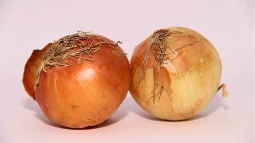 onion food vegetable