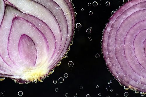 onion red onion raw