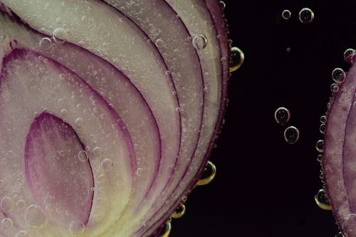 onion red onion raw