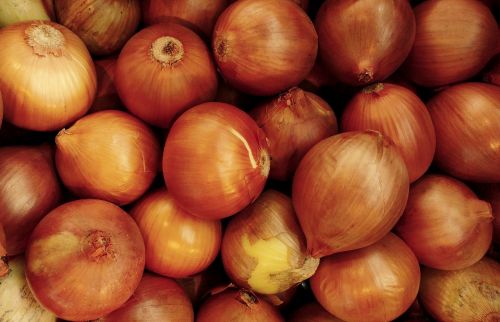 onion vegetable natural