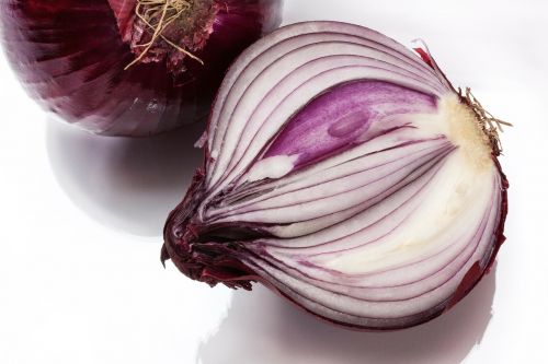 onion allium cepa red onion