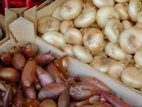 onion vegetables market