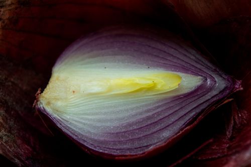 onion dark food