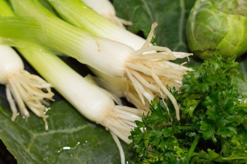 onion vegetable healthy