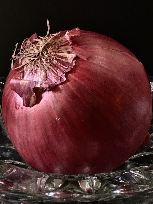 onion  vegetable  nature
