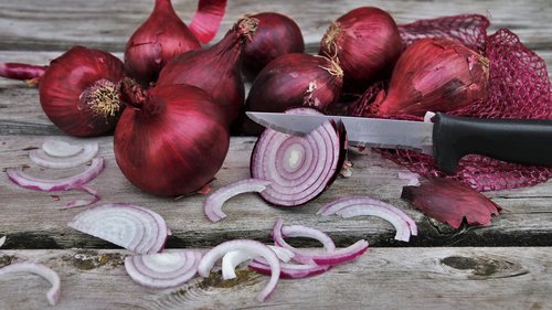 onion  slices  red