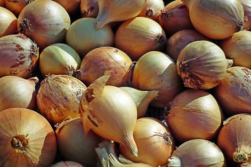 onion  vegetables  food