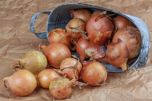 onion  bag  jute