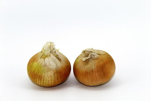 onion  old  winter