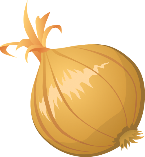 onion vegetable food