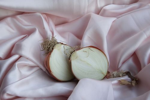 onion rosa nature