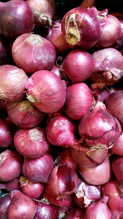 onion vegetables cook